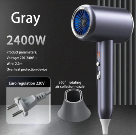 F33 Professional 2400W Hair Dryer